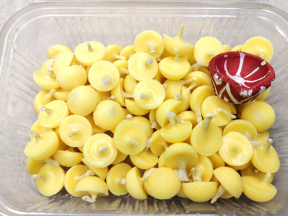 PURE GHEE DIYA (Pack of 100pcs)